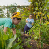 Two people in gardening clothes work in a green outdoor garden