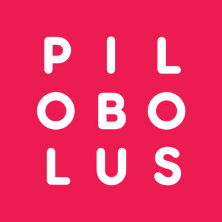 pilobolus logo