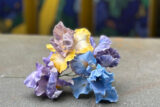 Yellow, purple, blue bearded irises on the ground