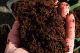 A person holds a handful of brown soil