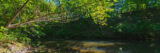 A river flows through a sunny green forest