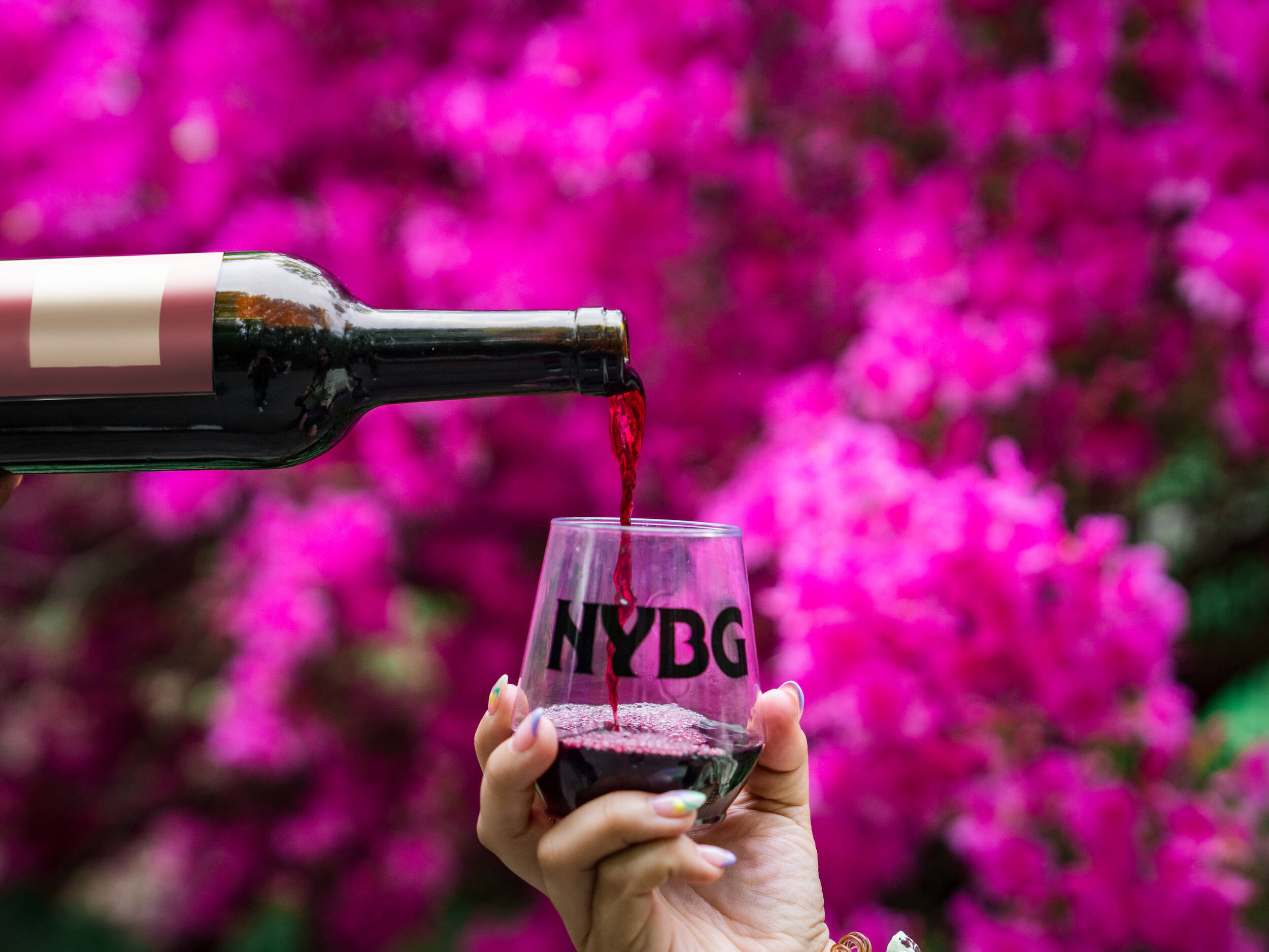 A person pours red wine into a glass tumbler labeled "NYBG"
