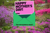 happymothersday screen