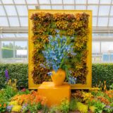Irises: Van Gogh Eren