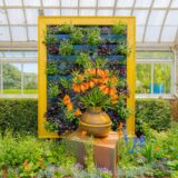 Imperial Fritillaries: Van Gogh Eren