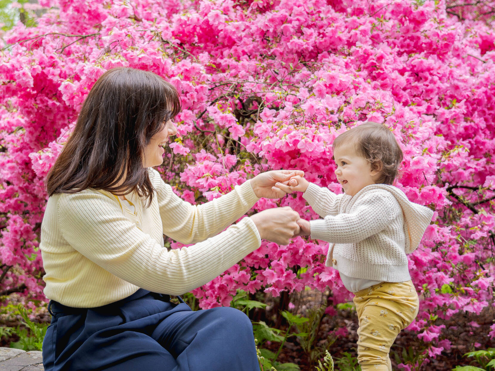 A parent and child enjoy a day among vibrant pink flowers