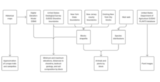 A flow chart graph depicting the process of the Welikia project.