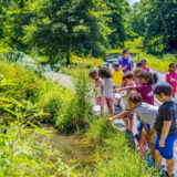 A group of kids looking into a pond and pointing at plants that surround it.