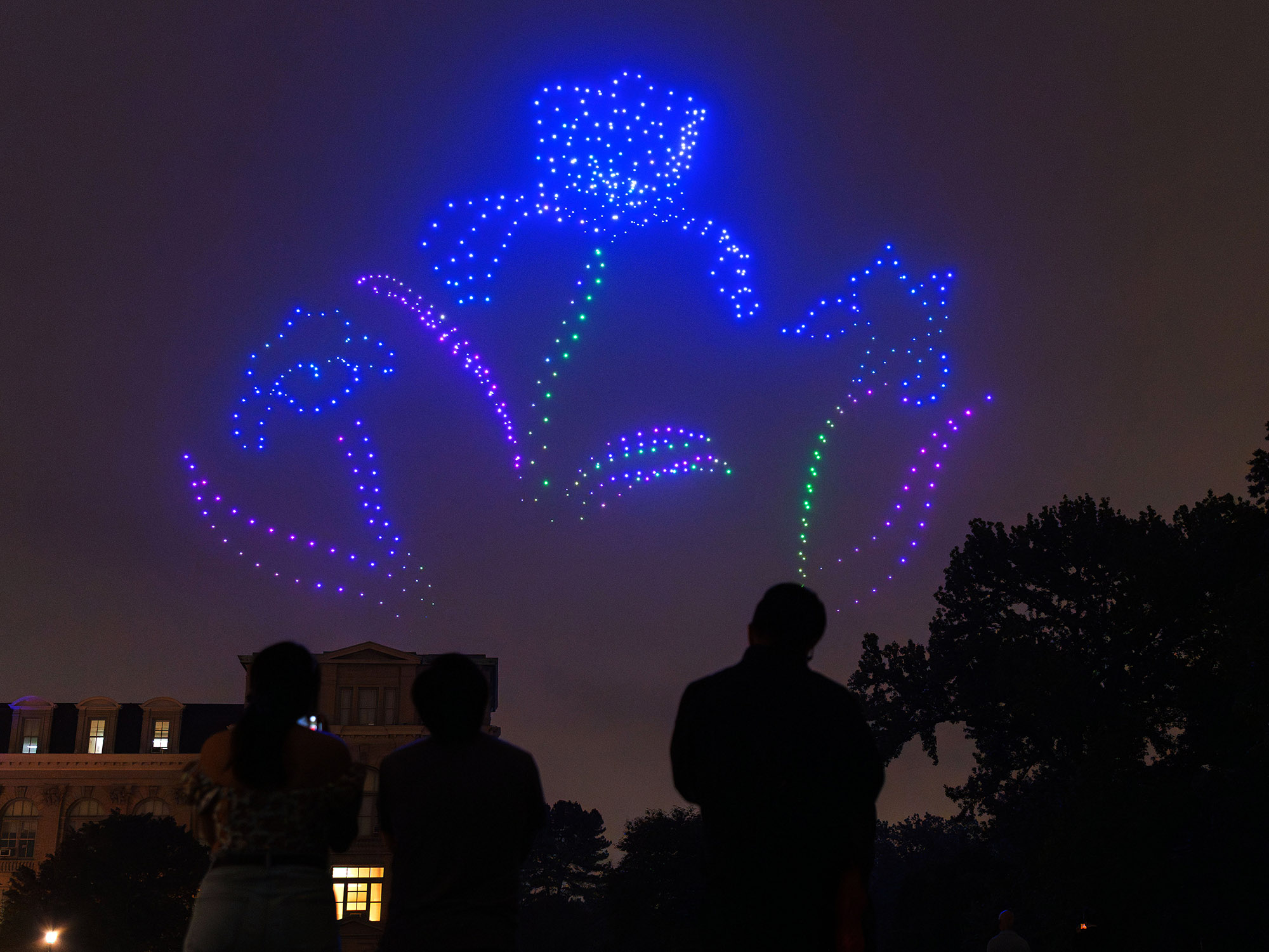 Blue and purple lights form flowers in the sky