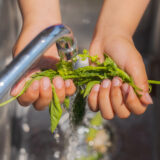 A person washes green herbs under a faucet