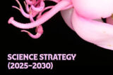 strategy600x400