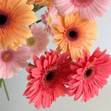 An arrangement of orange, pink, and red flowers