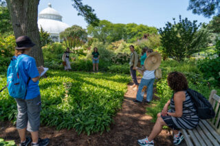 A group of people standing in the shade under a big tree surrounded by green shrubs.
