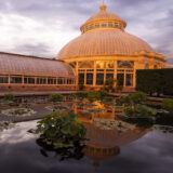 A white conservatory dome at sunset