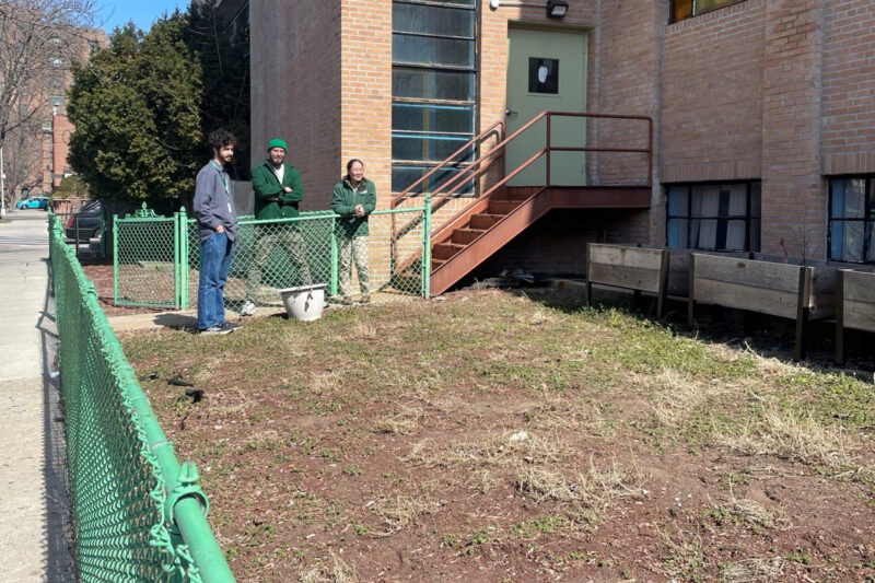 People observe a bare dirt plot outdoors