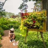 A visitor paints near a framed plant display