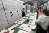 a person points to a collection of herbarium specimens displayed for a group of people to observe