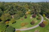 An aerial view of a green botanical garden