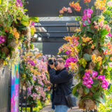 A person in a black jacket and jeans uses a DSLR camera to photograph colorful flowers in a conservatory