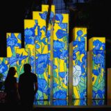 Visitors enjoying an illuminated contemporary art installation during Starry Nights