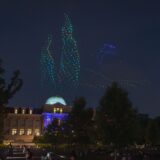 Drones depict cypress trees and bird in the sky during Starry Nights