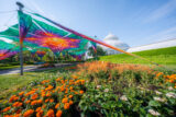 A tie-dyed series of large tented umbrellas shade an arrangement of orange flowers