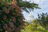A white conservatory dome peaks up from behind trees and colorful shrubs in the foreground