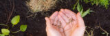 A person cups a handful of seeds in their hands