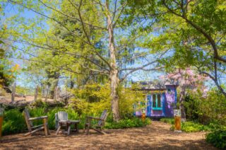 A small purple house surrounded by trees, wooden chairs, and a dirt path.