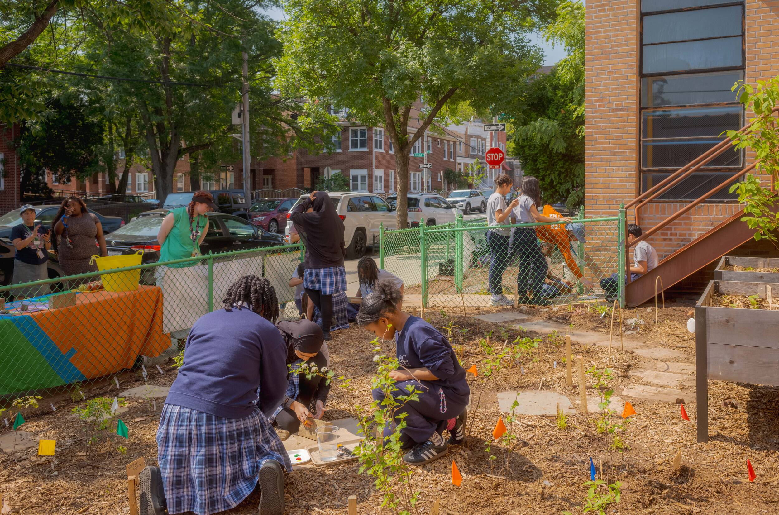 Students work in a sunny outdoor garden