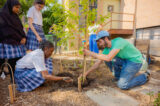 Children work with adults to plant an outdoor garden