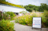 A sign reading "Delta" sits in an A-frame in a green outdoor garden