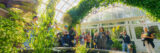 A group of people stand near a pool full of aquatic plants in a glass Conservatory.