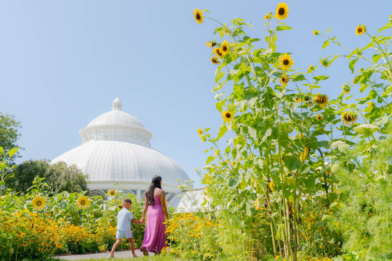 New York Botanical Garden - grounds and conservatory