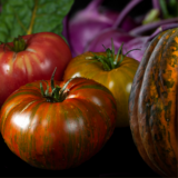 se climate consortium food plant 1.1