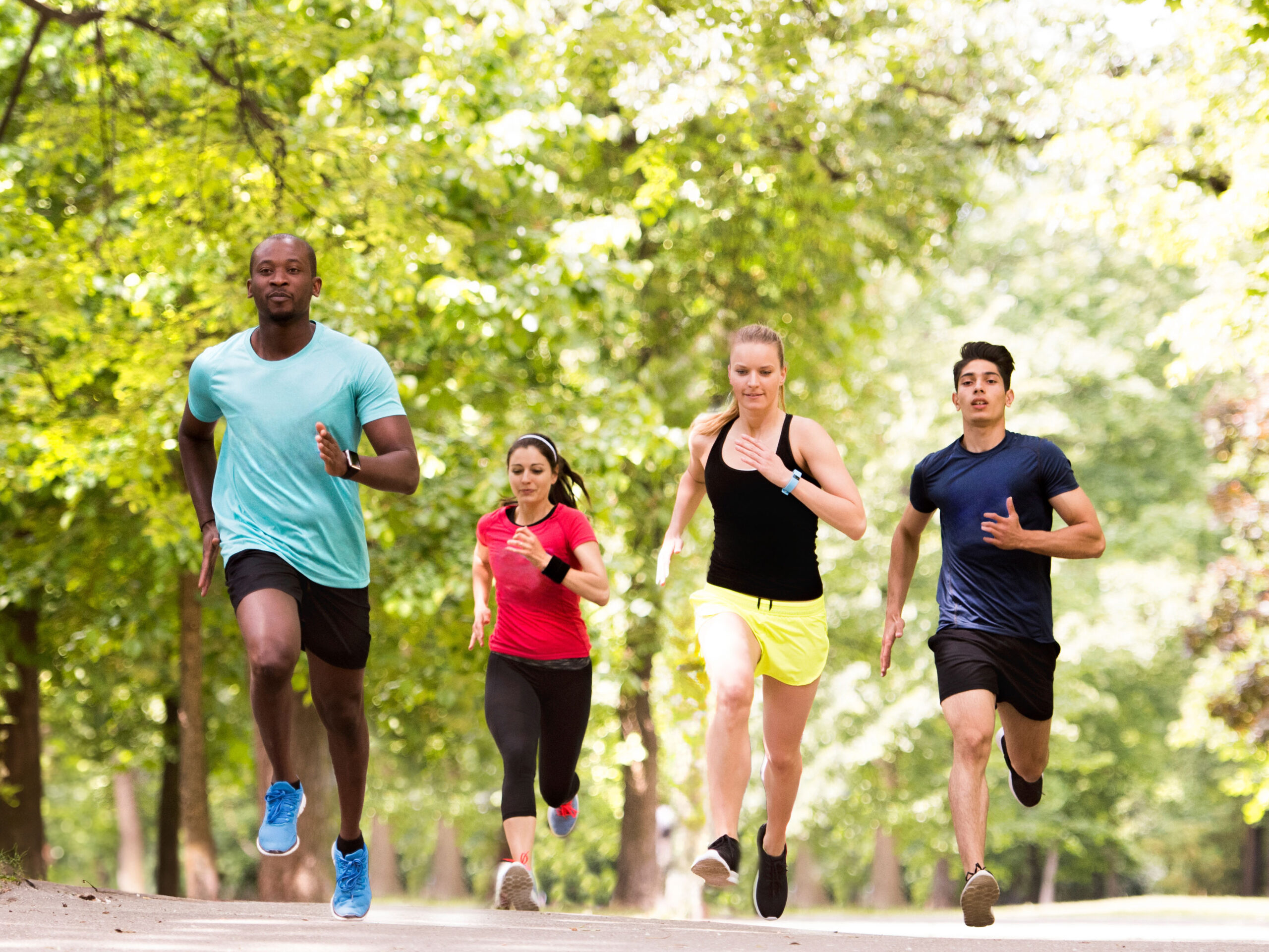 A group of four people jogs through a sunny green forest
