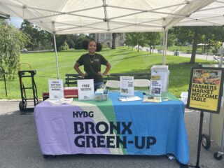 A person standing behind a table with information on Bronx Green-Up.