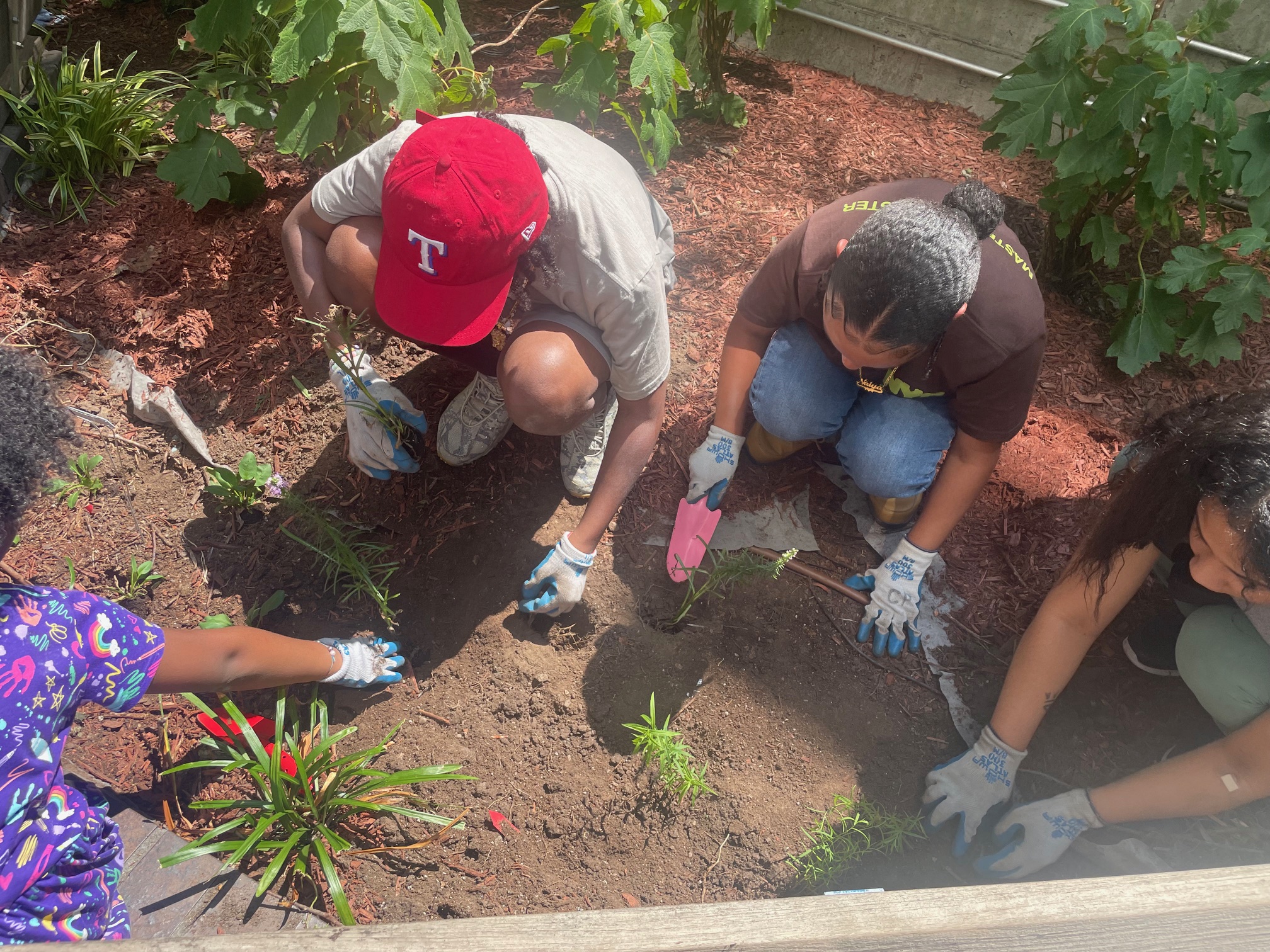 Four people with gardening gloves and trowels plant in the dirt.