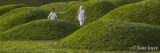 Two people walk through a lush, hilly field of green grass