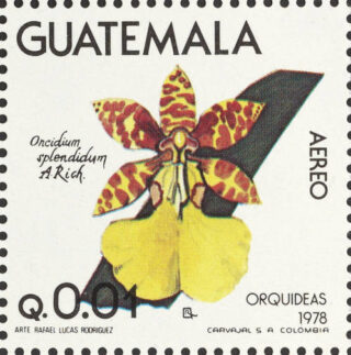 A stamp featuring an orange and yellow flower and the word "Guatemala"