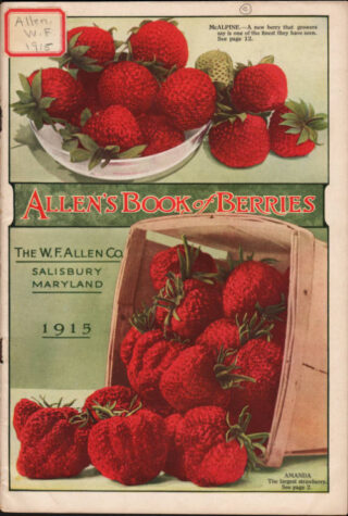 A seed packet cover depicting bright red peppers and strawberries