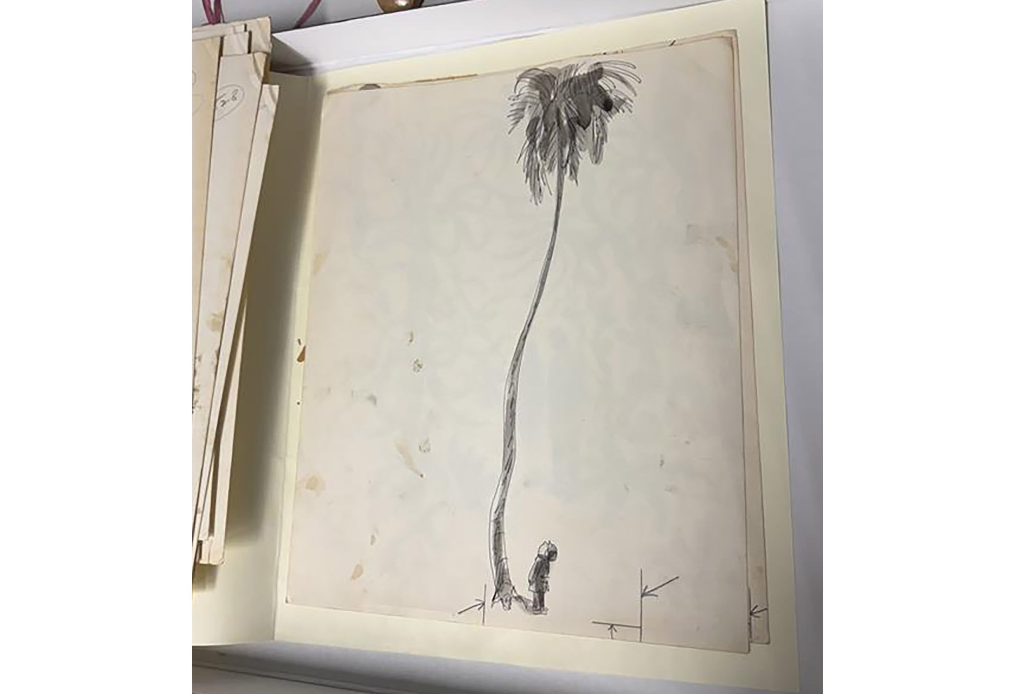 An illustration of a small child gazing up at a tall palm tree