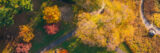 An aerial view of yellow and red fall trees in late afternoon sunshine