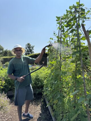 Neil, wearing a sun hat and green shirt, smiles for the camera while watering tall plants in the garden on a bright summer day. The sunlight glows on the leaves in the lush, green garden.