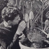 A black and white photo of a person in a dark sweater examining a plant with a hand lens