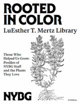 A black and white image of a plant with the title "Rooted in Color"