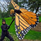 A person in black clothing operates a gigantic orange butterfly puppet