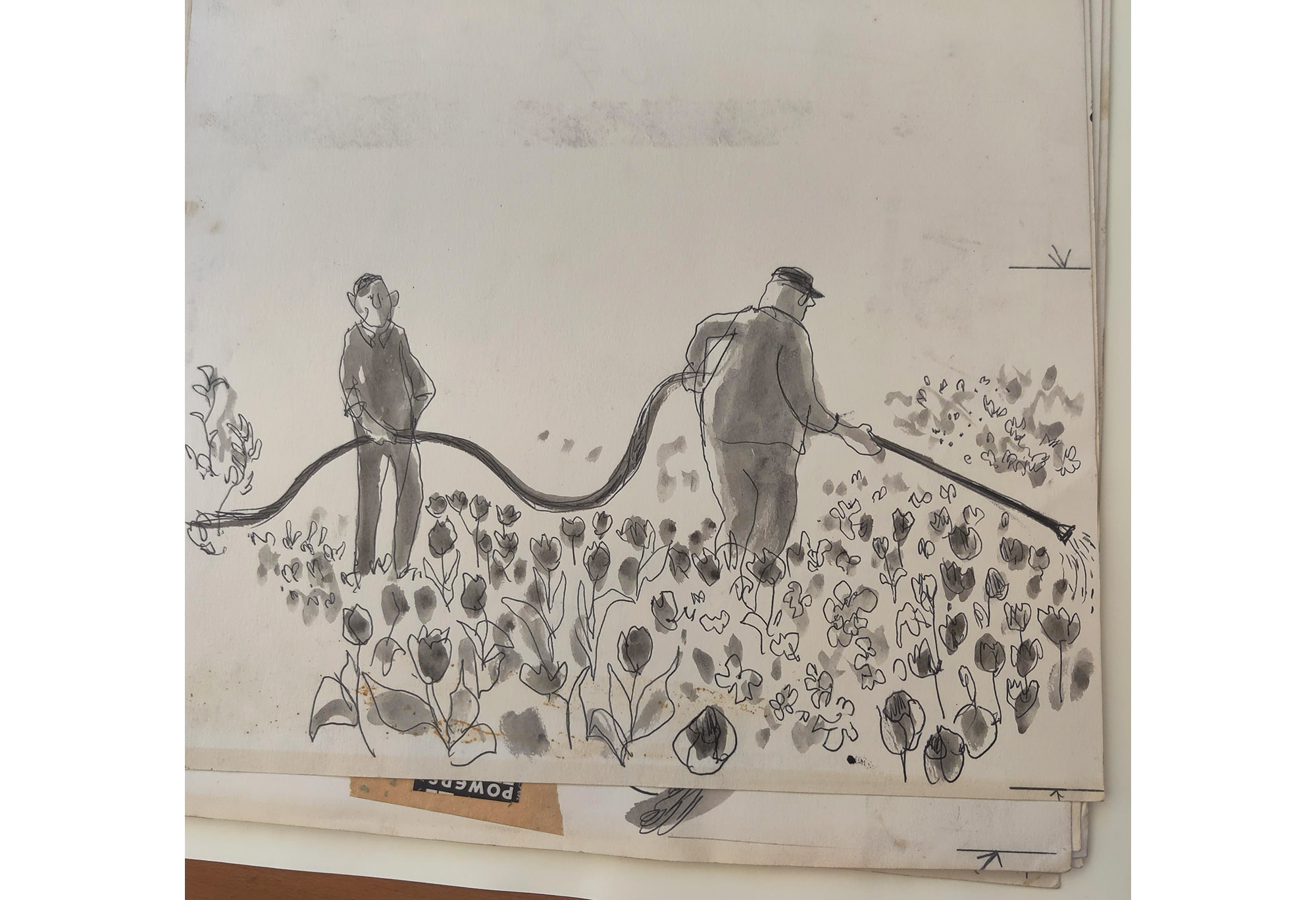 A black and white illustration of garden workers using a hose