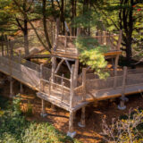 A tree top wooden platform in a sunny forest