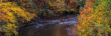 A river runs through a fall forest of red and yellow leaves